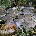 Policija u šoku zbog prizora kod Obrenovca! Na divljoj deponiji pronađeno 30 kilograma droge (foto)