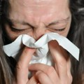 Ambrozija vodeći uzrok respiratornih alergija od kojih pati 500 miliona ljudi u svetu