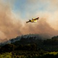 Gori gusta borova šuma u Hrvatskoj: Požar nije pod kontrolom, brzo se širi, podignuti i kanaderi