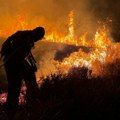 Izgorelo 70 konja u požaru u Francuskoj