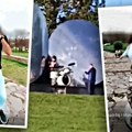 (Video): Pevaju i igraju na mestu gde su stradala deca sve zbog novog TikTok trenda: Sramni snimci iz spomen parka Šumarice…