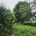 VAŠA PISMA: Tigrovo naselje – korov, prašina i smeće