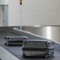 Srbin se vratio iz Grčke, a iz kofera istrčao nezvani gost, nastao totalni haos: "Ovo mi se zavuklo u stvari"