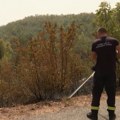 Požar na Ravnoj gori lokalizovan, vatra zahvatila oko 10 hektara makije i niskog rastinja