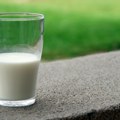 Premije za mleko povećane sa 15 na 19 dinara po litru