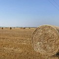 Cena poljoprivrednog zemljišta u srednjem Banatu raste iz godine u godinu