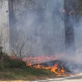 Požar iznad Pljevalja, zahvaćena borova šuma: Vojni helikopter uključen u gašenje