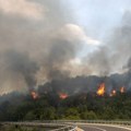 Svijet bez rješenja za borbu protiv šumskih požara