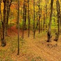 Gorska služba spasavanja objavila konkurs za nove spasioce volontere