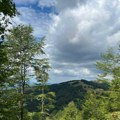 ŠG „Timočke šume” biser istočne Srbije - prostor gde priroda caruje
