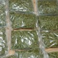 У Прокупљу заплењено 8,7 килограма материје налик на марихуану, осумњичени ухапшен