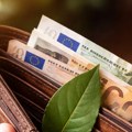 Све више људи ставља ловоров лист у новчаник - ово је разлог
