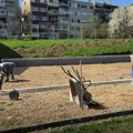 Počela izgradnja igrališta i obnova terena u naselju 21. oktobar