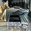 Uhapšeni Srbi u Austriji! Potukli se, pa otkrivena istina o njima: Posle bizarnog incidenta, policija saznala da su deo…
