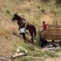Узнемирујуће! Код Вишњичке Бање бичују јадну животињу, она једва хода: Оно што мештани кажу је страшно