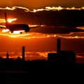 IATA: Spektakularan oporavak avioprevoza očekuje se ove godine