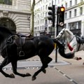 Pomahnitali konji britanske vojske jurili centrom Londona i povredili nekoliko ljudi (VIDEO)