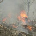 Požar u kanjonu Uvca ne jenjava, gori preko 100 hektara niskog rastinja