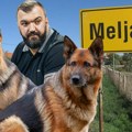Opsadno stanje u meljaku zbog Nikole pekovića! Košarkaša čuvaju dva vučjaka, deda nadgleda sokak, nova devojka preduzela hitne…