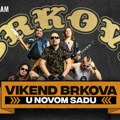 Vikend Brkova u Novom Sadu