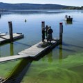 Neobičan prirodan fenomen: Jezero u Češkoj prekrio zeleni led