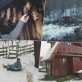 Todorovići danas na Zlatiboru grade novi život – a ne žive samo od mangulica i ovaca!
