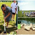 Guske dobijaju društvo: U zaštićeno područje Šida stižu poniji, a praviće se i ribnjak! Ministarka Pavkov sa đacima iz Srema…