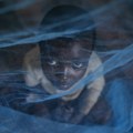 UNHCR pokrenuo inicijativu „Obećanje”: 75 istaknutih ličnosti u zaštiti izbeglica