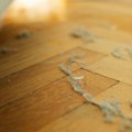 Spas za alergične na prašinu: Naučnici napravili uređaj koji uklanja skoro sve iz vazduha