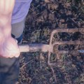 Muškarac napadnut vilama nakon nesporazuma u saobraćaju kod Niša