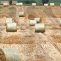 Članice EU u sporu oko produženja zabrane uvoza ukrajinskog žita