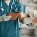 Prvi put u Velikoj Britaniji: Bolest koju šire psi se prenela na ljude