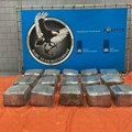 Hapšenje vozača iz bih sa trojanskim kontejnerom bio jasan znak Ovako je policija u Roterdamu otkrila 600 kilograma kokaina