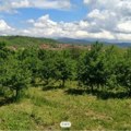 Na 3 km od grada, kuća, 1.000 voćki: Parče plodne zemlje za 29.000 evra, a prizor bajkovit (foto)
