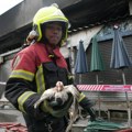 Oko hiljadu pasa, zmija i drugih životinja izgorelo u požaru na pijaci u Bangkoku