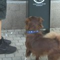 Više nema izgovora za nered: Kruševljanima olakšano čišćenje za psima tokom šetnje gradom
