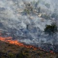 Veliki požar u crnoj gori: Vatra se širi između Budve i Cetinja: Teren izuzetno nepristupačan, podignut je i avion