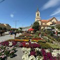 Fotoreportaža: „Cvetna pijaca“ na Trgu slobode