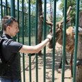 “Srbija Ziđin Koper” organizovao program za najmlađe u borskom zoo-vrtu