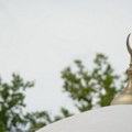Strani državljani iz vozila sa srpskim tablicama ostavili svinjske glave ispred džamija u Parizu