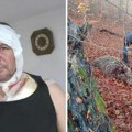 Medvedica napala i teško povredila lovca iz Bosne! "Kao puma se bacila na mene, sreća da mi je puška bila puna, nisam smeo da…