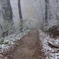 Sneg veje širom Srbije! Prve pahulje pale i na Fruškoj gori: Zabelela se srpska planina, pogledajte prelepe prizore (video)