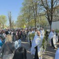 Zrenjaninci u molitvenoj litiji obeležili Lazarevu subotu – radost Vrbice ispunila gradske hramove i ulice Lazareva subota -…