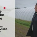 ТВ најава: Мале велике приче - Плодови моравског гнева