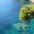 Izašao iz mora i samo se srušio Drama na Jadranu! Turista umro na plaži, supruzi pozlilo Žena hitno helikopterom prevezena u…