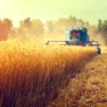 Subvencije za poljoprivrednike: 63.000 po hektaru, rok do 25. avgusta