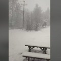 Snežna mećava na Vlasini na početku proleća (VIDEO)