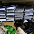 Uprava carina Srbije: Na prelazu Preševo sprečeno krijumčarenje devet lobanja divokoze i vuka