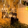 Откривена лабораторија за производњу дроге у Крагујевцу: Ухапшен мушкарац