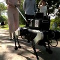 Robotizovan pas – vodič za slepe radi sve kô i pravi, a prepoznaje i svetla na semaforu